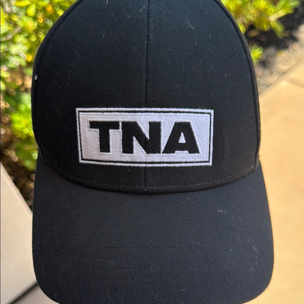 Aritzia TNA hat